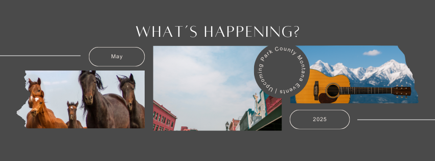 What to do in Livingston Montana
