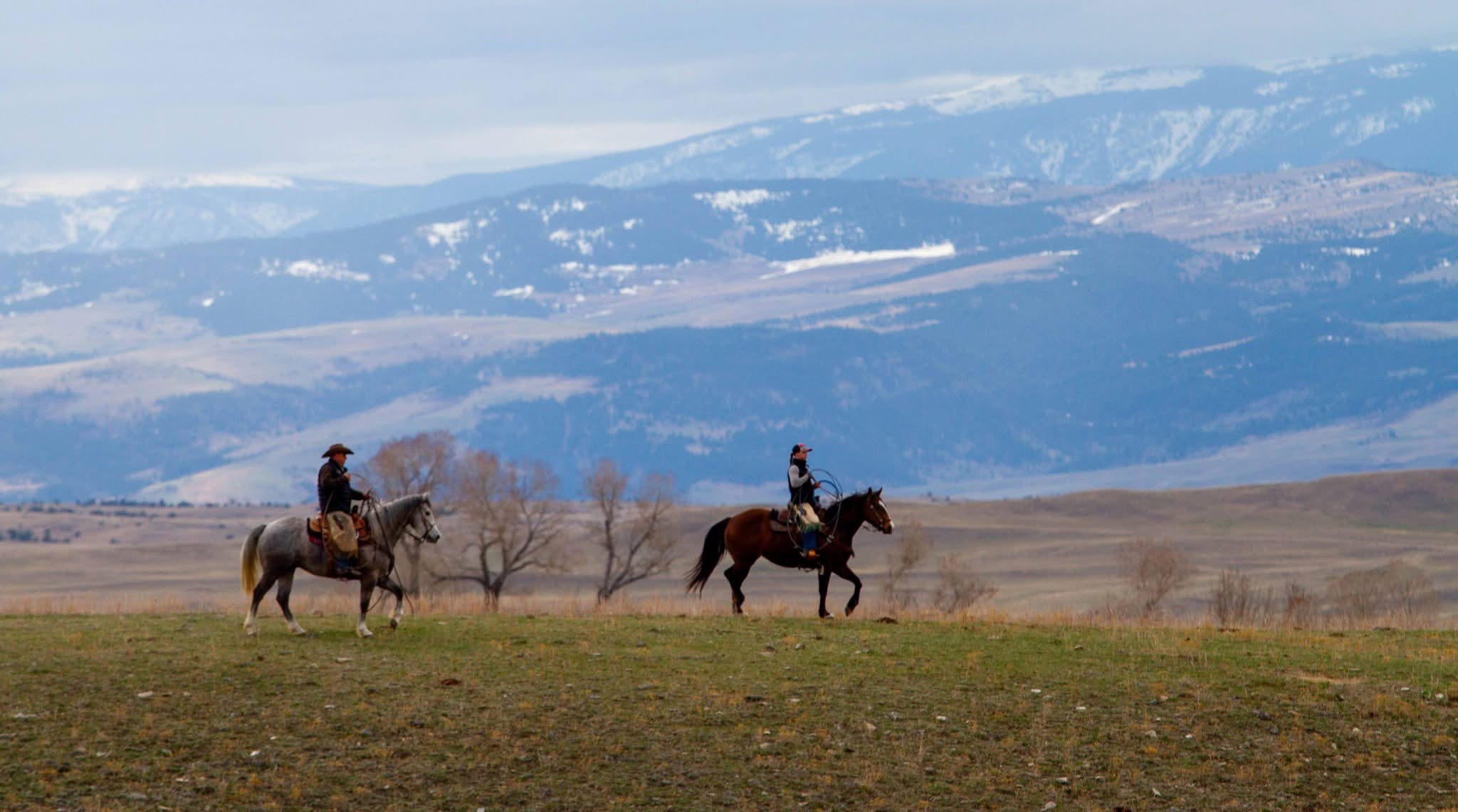 Riders on horseback in the Shields Valley with the Crazy Mountains in the background